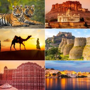 Collage of domestic travel destinations showcasing popular tourist spots, cultural experiences, and scenic landscapes across India