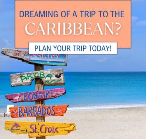 customised international tour package